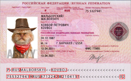 Russian Federation foreign passport