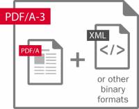 fre11_grafik_pdfa3_e.jpg